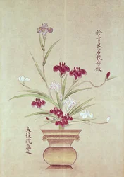 蘭